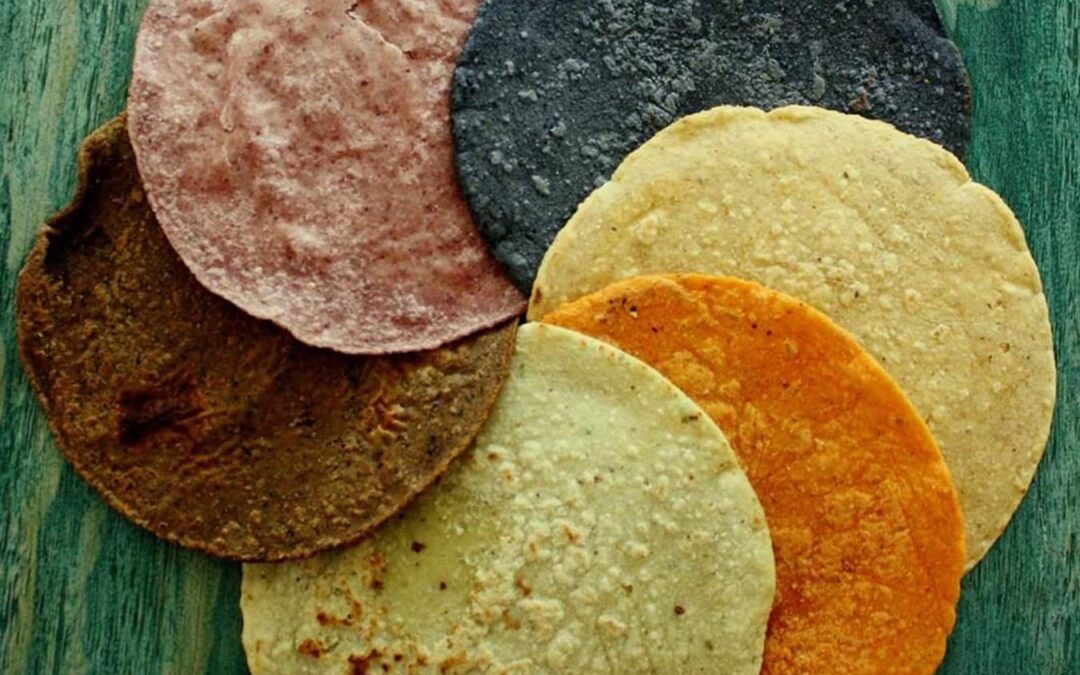 Tortillas de Sabores Amacueca