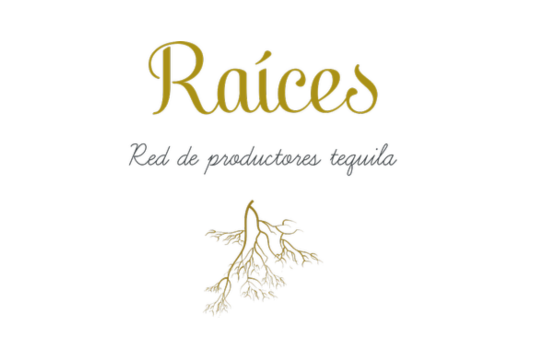 Raíces Red de Productores Tequila.